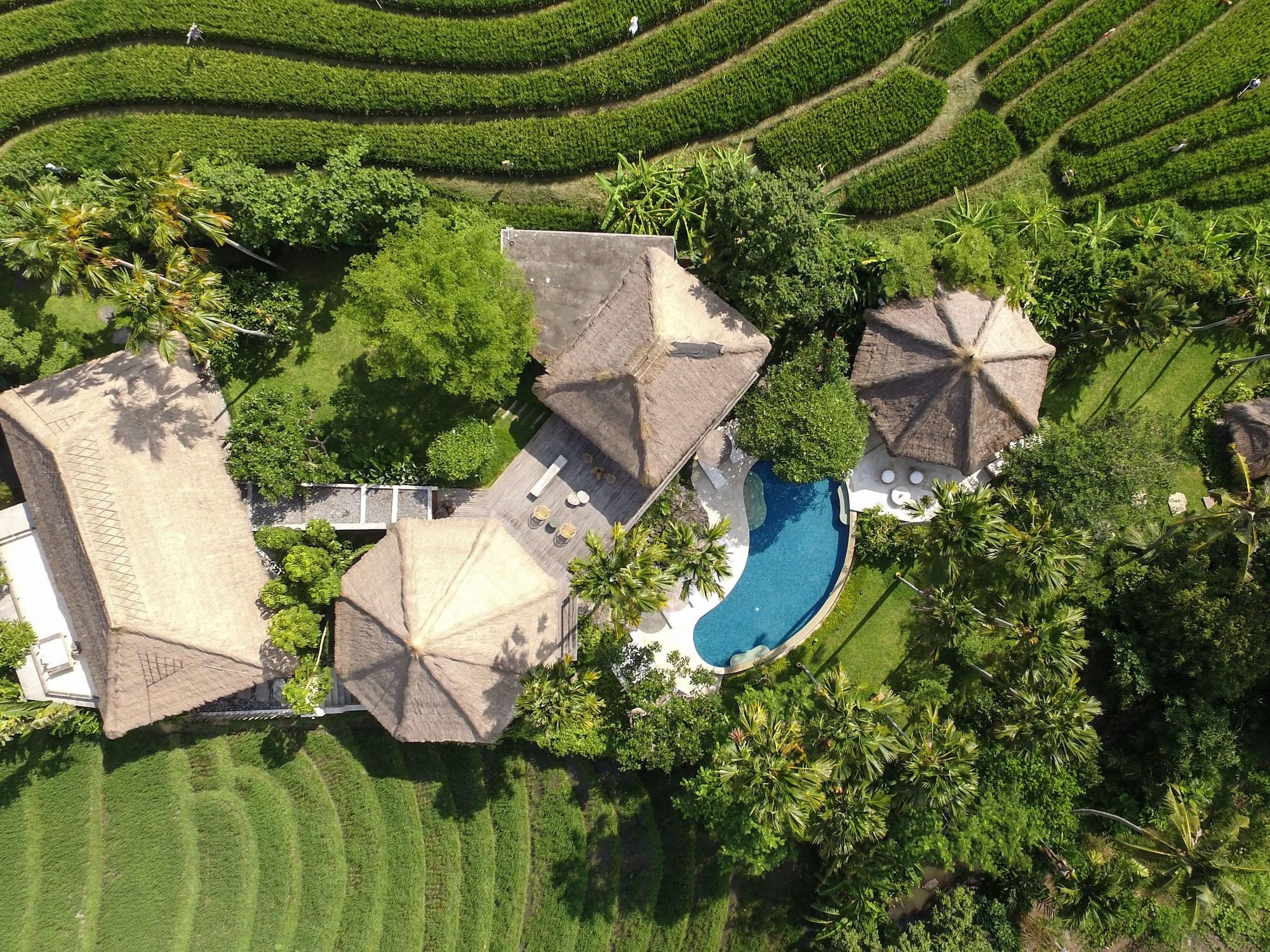 Planta Boutique Resort Canggu Exterior foto
